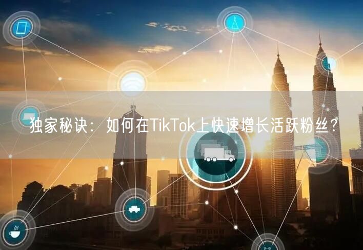独家秘诀：如何在TikTok上快速增长活跃粉丝？