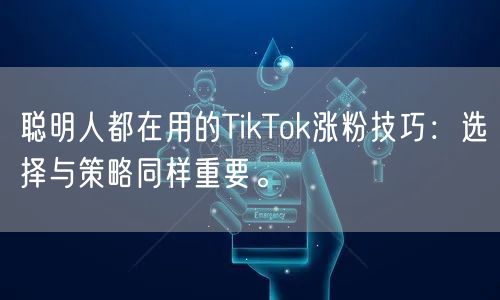 聪明人都在用的TikTok涨粉技巧：选择与策略同样重要。