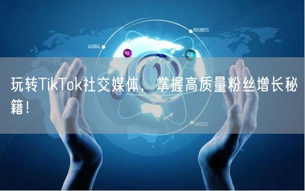 玩转TikTok社交媒体，掌握高质量粉丝增长秘籍！