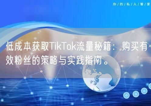 低成本获取TikTok流量秘籍：购买有效粉丝的策略与实践指南。
