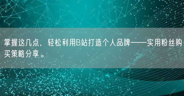 掌握这几点，轻松利用B站打造个人品牌——实用粉丝购买策略分享。