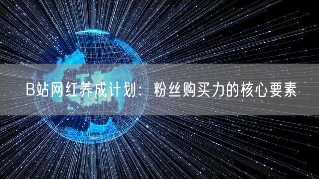 B站网红养成计划：粉丝购买力的核心要素