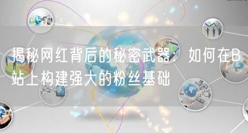 揭秘网红背后的秘密武器：如何在B站上构建强大的粉丝基础