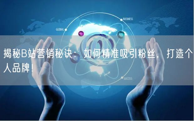 揭秘B站营销秘诀：如何精准吸引粉丝，打造个人品牌！