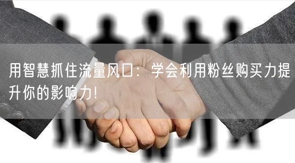 用智慧抓住流量风口：学会利用粉丝购买力提升你的影响力！