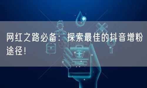 网红之路必备：探索最佳的抖音增粉途径！