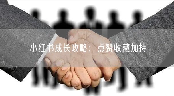 小红书成长攻略：点赞收藏加持