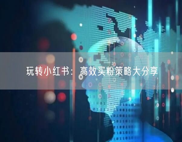 玩转小红书：高效买粉策略大分享