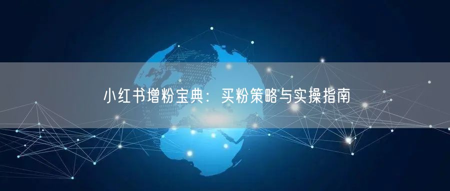 小红书增粉宝典：买粉策略与实操指南