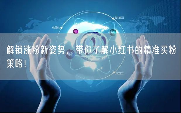 解锁涨粉新姿势，带你了解小红书的精准买粉策略！