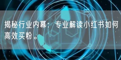 揭秘行业内幕：专业解读小红书如何高效买粉。