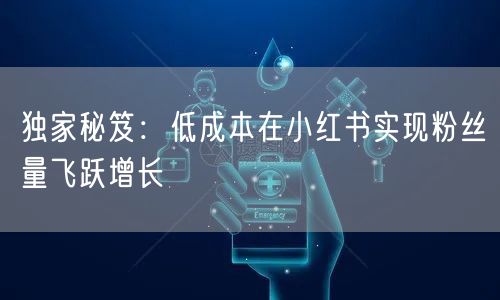 独家秘笈：低成本在小红书实现粉丝量飞跃增长