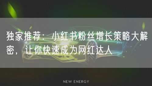 独家推荐：小红书粉丝增长策略大解密，让你快速成为网红达人