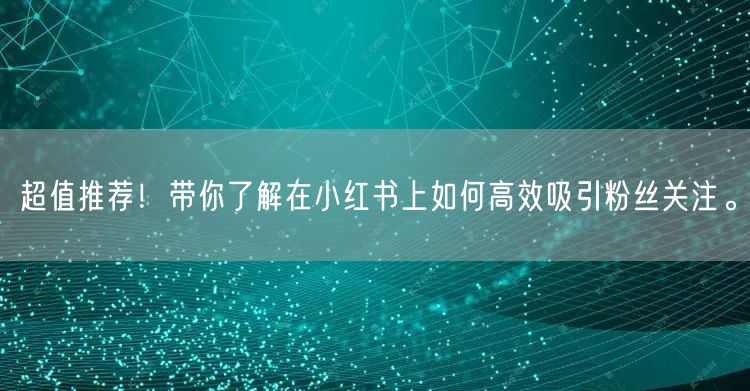 超值推荐！带你了解在小红书上如何高效吸引粉丝关注。