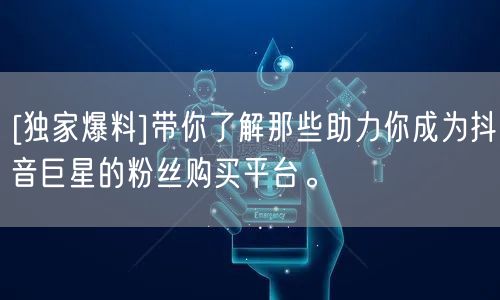 [独家爆料]带你了解那些助力你成为抖音巨星的粉丝购买平台。