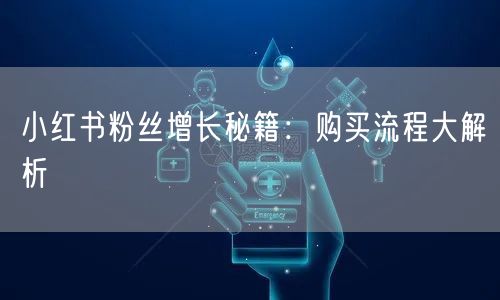 小红书粉丝增长秘籍：购买流程大解析