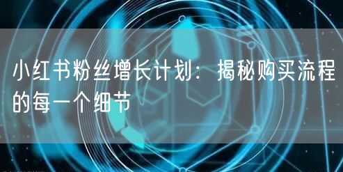 小红书粉丝增长计划：揭秘购买流程的每一个细节