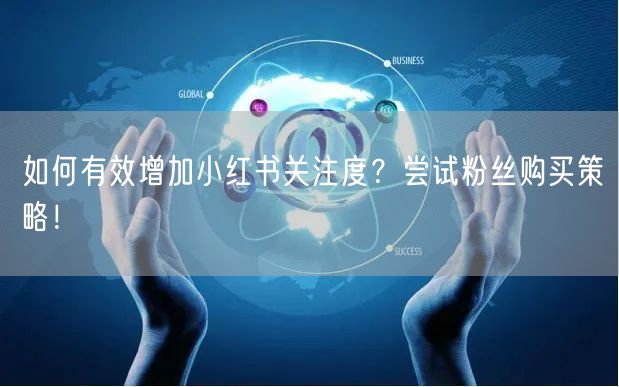 如何有效增加小红书关注度？尝试粉丝购买策略！