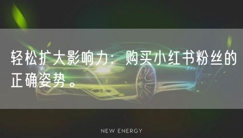 轻松扩大影响力：购买小红书粉丝的正确姿势。