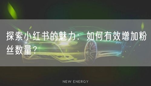探索小红书的魅力：如何有效增加粉丝数量？