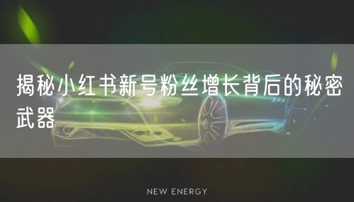 揭秘小红书新号粉丝增长背后的秘密武器