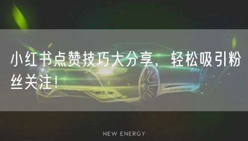 小红书点赞技巧大分享，轻松吸引粉丝关注！