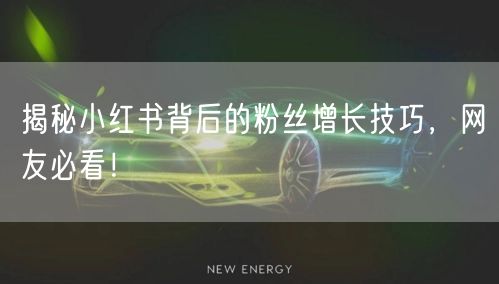 揭秘小红书背后的粉丝增长技巧，网友必看！