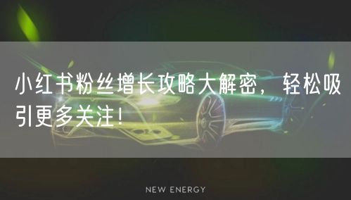 小红书粉丝增长攻略大解密，轻松吸引更多关注！