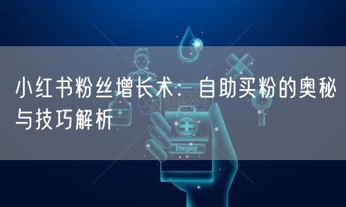 小红书粉丝增长术：自助买粉的奥秘与技巧解析
