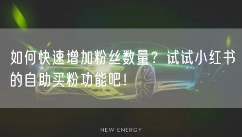 如何快速增加粉丝数量？试试小红书的自助买粉功能吧！