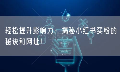 轻松提升影响力，揭秘小红书买粉的秘诀和网址！