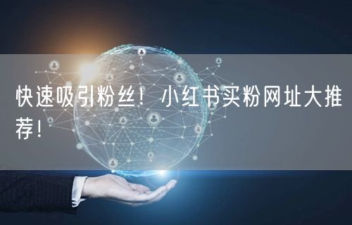 快速吸引粉丝！小红书买粉网址大推荐！