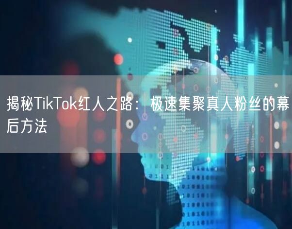 揭秘TikTok红人之路：极速集聚真人粉丝的幕后方法