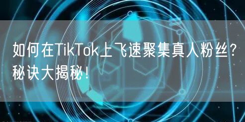 如何在TikTok上飞速聚集真人粉丝？秘诀大揭秘！