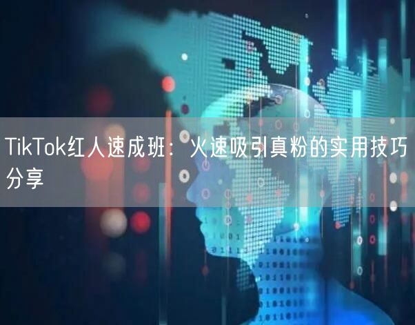 TikTok红人速成班：火速吸引真粉的实用技巧分享