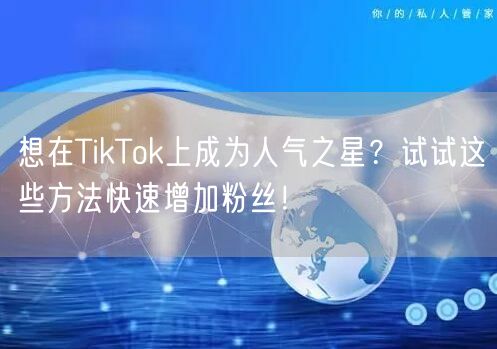想在TikTok上成为人气之星？试试这些方法快速增加粉丝！
